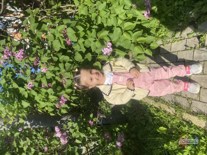 Бриллиант  Ахмедпашаева фото №1935070. Загружено 29 Августа 2025