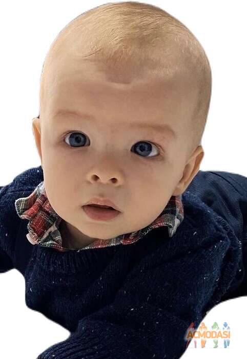 Савелий  Ситковский фото №1825903. Загружено 29 Октября 2022