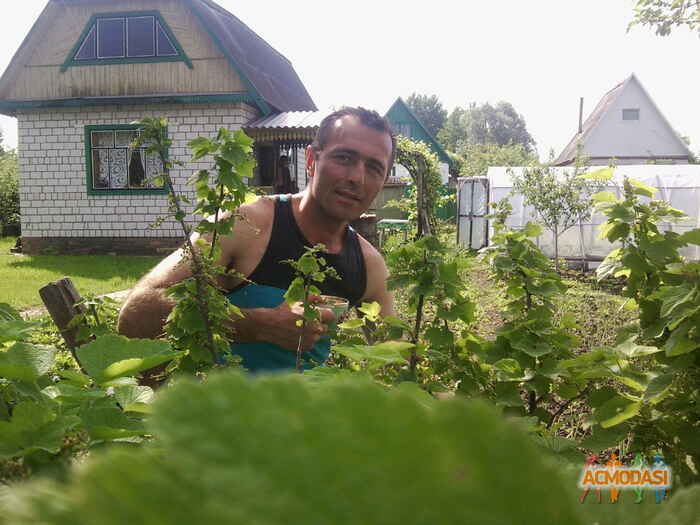 Виталий  Иванович фото №471903. Загружено 16 Августа 2013