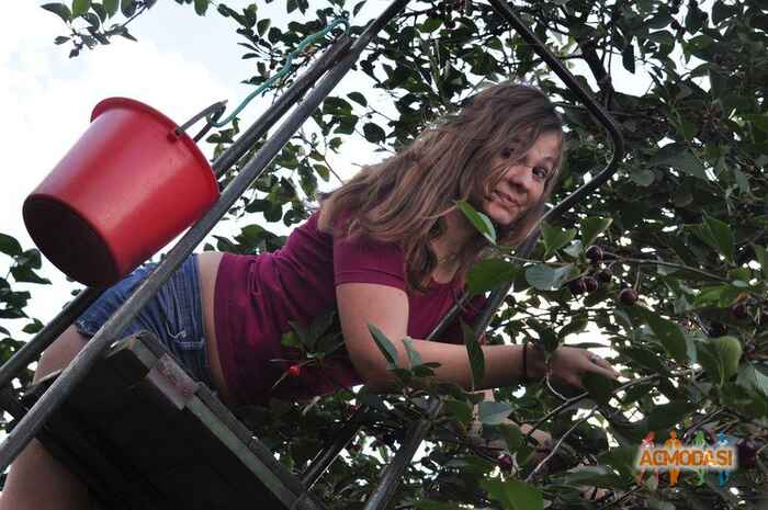 Ксения Михайловна Баранова фото №718581. Загружено 27 Августа 2014