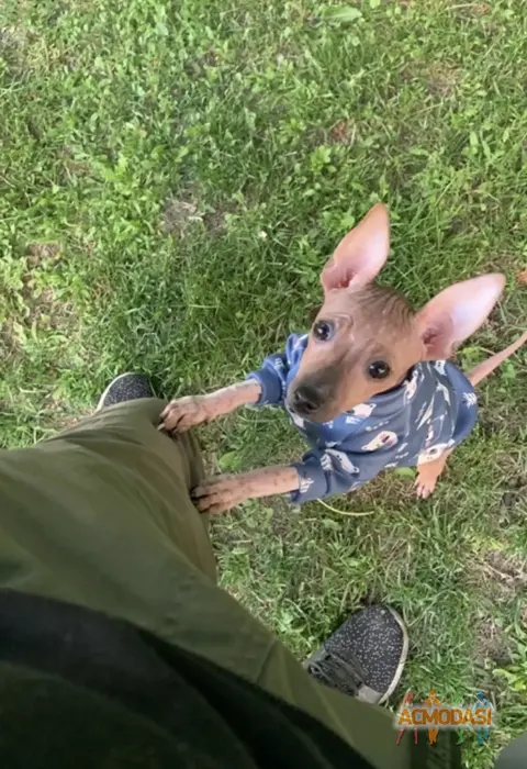 Анастасия  Тарасова фото №1864241. Загружено 13 Августа 2023