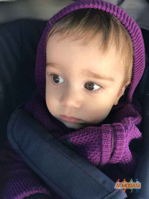 Адам   фото №1343078. Загружено 11 Июля 2018