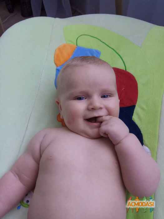 Степан Александрович Мелешкевич фото №1478641. Загружено 28 Июня 2019