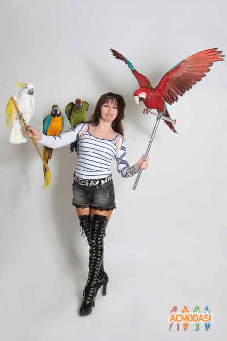 Анжелла Юрьевна Волохвянская фото №943722. Загружено 23 Октября 2015