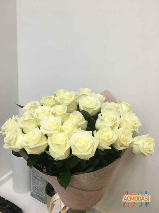 Ггггггг Гггггггггггг Ггггггг фото №1492541. Загружено 29 Июля 2019