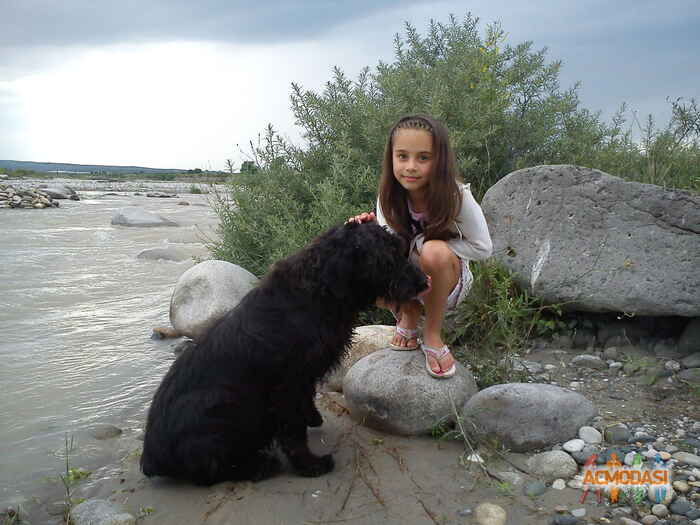 Милана Залимовна Кумахова фото №307520. Загружено 10 Декабря 2012