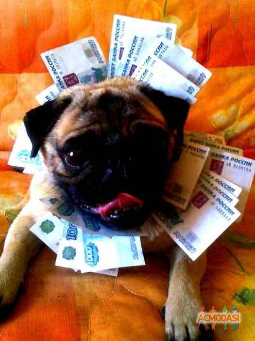 Юля  Сергеевна фото №126917. Загружено 08 Января 2012