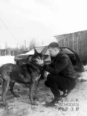 Андрей Яковлевич Каршанинников фото №1492182. Загружено 28 Июля 2019