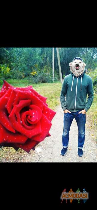 Abdulla  Tashbekov фото №1798157. Загружено 29 Мая 2022