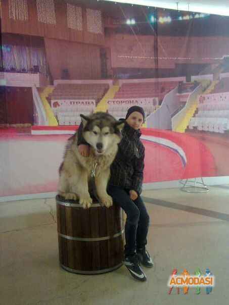 Руслан  Позняковский фото №880252. Загружено 29 Июня 2015