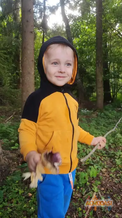 Добрыня Русский Богатырь Актёр кино, модель фото №1940313. Загружено 03 Ноября 2025