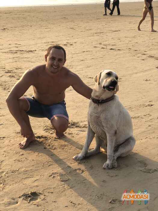 Никита Олегович Королев фото №1615633. Загружено 04 Июля 2020