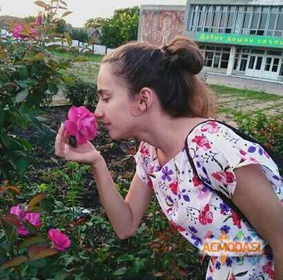 Эвелина Сергеевна Шибаева фото №1496455. Загружено 06 Августа 2019