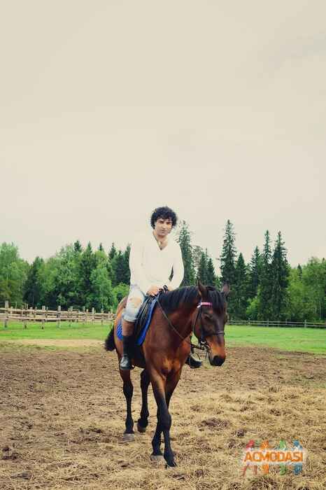 Сергей   фото №1134755. Загружено 15 Января 2017