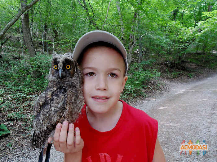 Макс Евгеньевич Куц фото №967054. Загружено 13 Декабря 2015