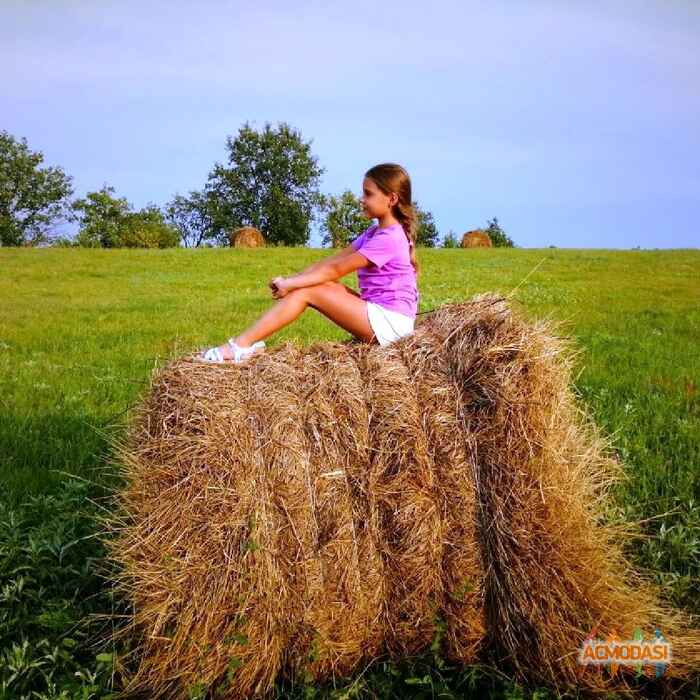 Алина Александровна Смольякова фото №1505940. Загружено 31 Августа 2019