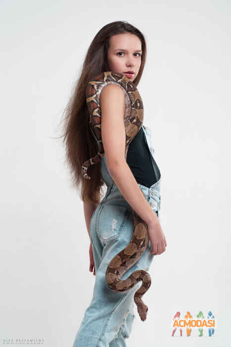 Iren  Trofimova фото №1406517. Загружено 24 Декабря 2018