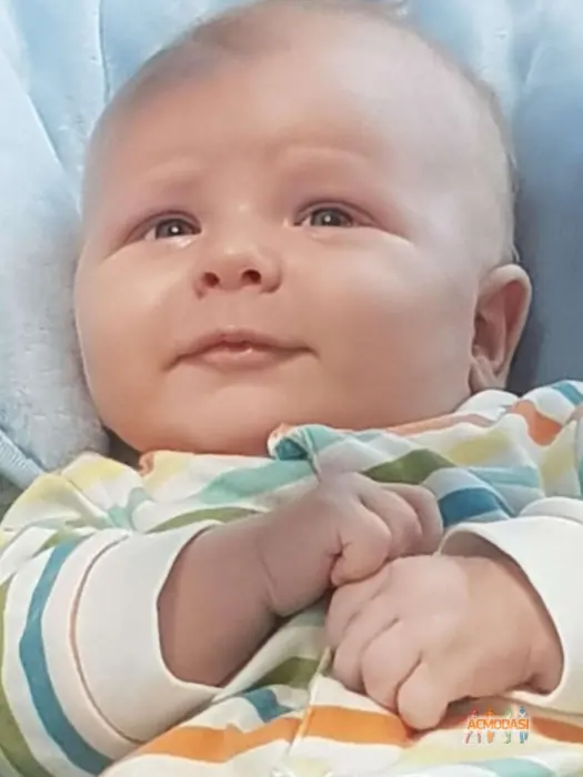 Константин Дмитриевич Краев фото №1850545. Загружено 10 Апреля 2023