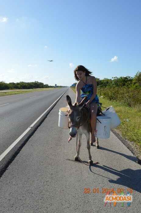 Екатерина Максимовна Иванова фото №687158. Загружено 09 Июля 2014