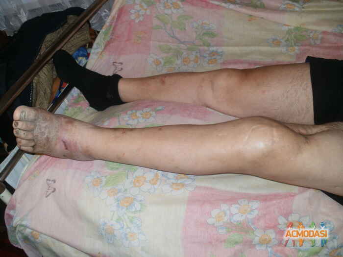 Владимир Николаевич Доценко фото №669010. Загружено 12 Июня 2014