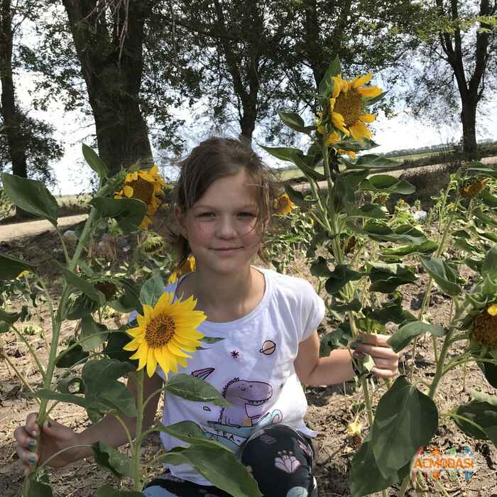 Наталья Евгеньевна Матвеева фото №1373069. Загружено 19 Сентября 2018