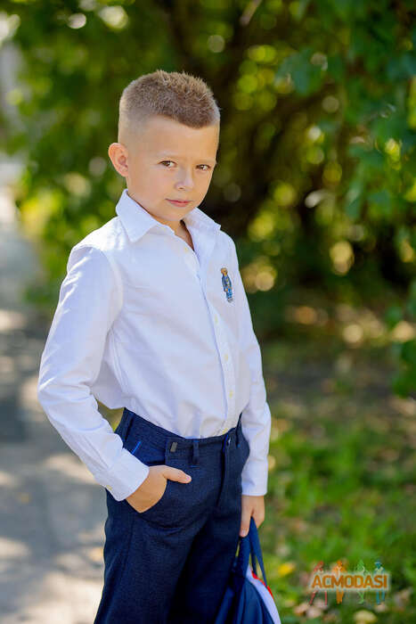 Лев   фото №1859300. Загружено 29 Июня 2023