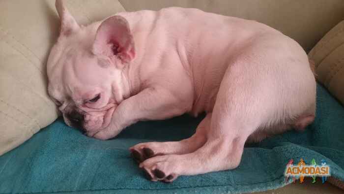 Татьяна @ Эля фото №1517545. Загружено 28 Сентября 2019