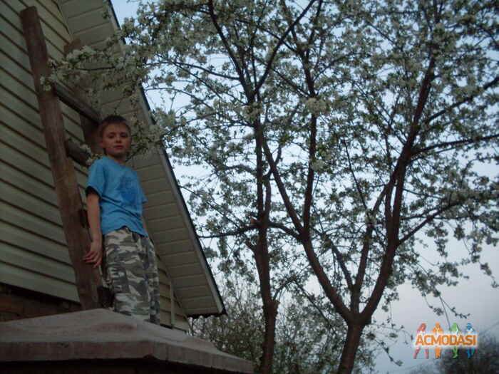 Богдан  Осипенко фото №205502. Загружено 29 Мая 2012