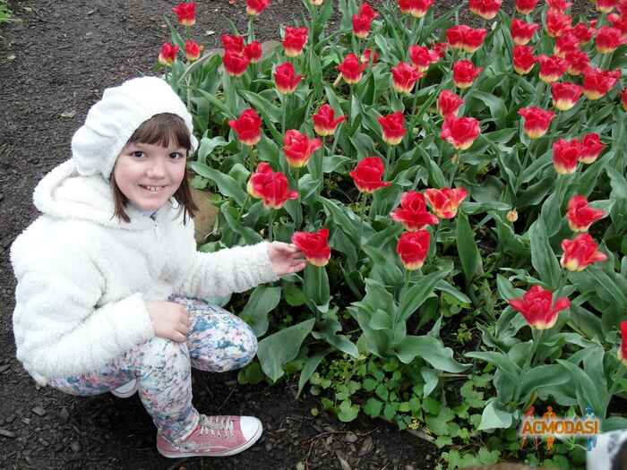 Anna   фото №1200264. Загружено 09 Июля 2017