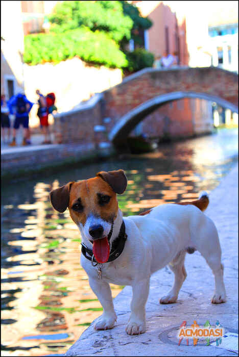 Polina   фото №724894. Загружено 05 Сентября 2014