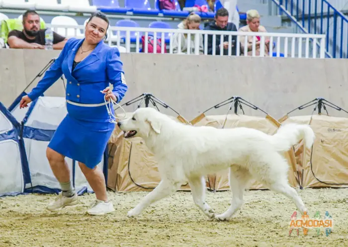 Велес   фото №1932649. Загружено 29 Июля 2025