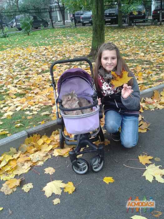 Владимира Сергеевна  фото №1140672. Загружено 30 Января 2017