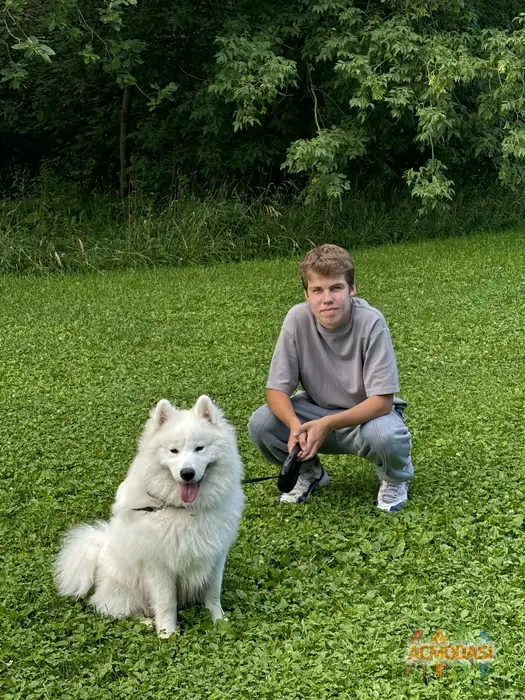 Илья Сергеевич Коростелев фото №1939175. Загружено 20 Октября 2025