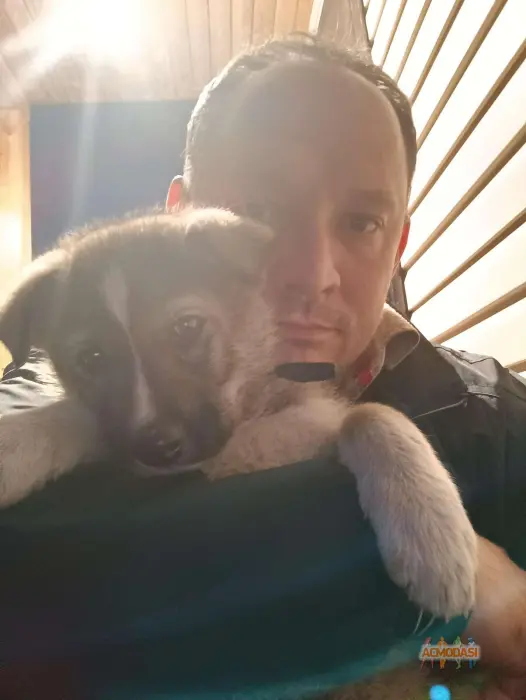 Андрей  Московский фото №1852935. Загружено 30 Апреля 2023