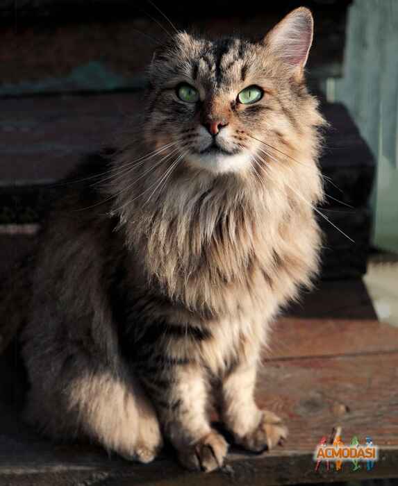 Наталья   фото №1503467. Загружено 25 Августа 2019