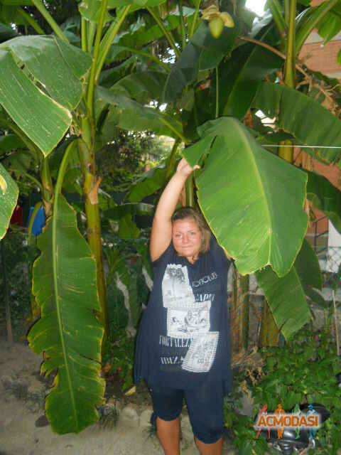 Яменко Мария Петровна фото №778693. Загружено 21 Ноября 2014