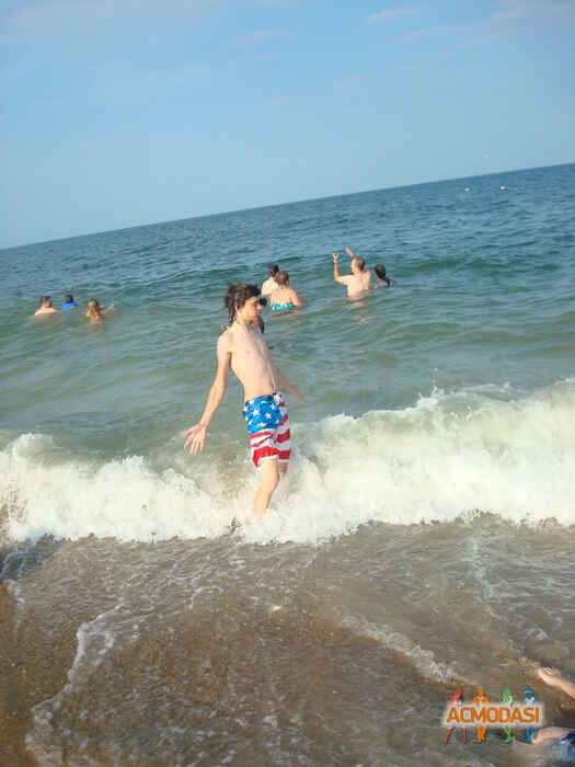 Дмитрий Александрович Ларионов фото №93612. Загружено 26 Октября 2011