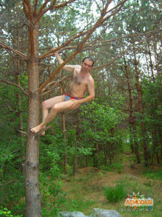 Владимир Анатольевич Некрасов фото №189818. Загружено 25 Апреля 2012