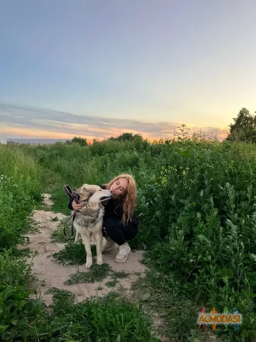 Маша  Салтанова фото №1864273. Загружено 13 Августа 2023