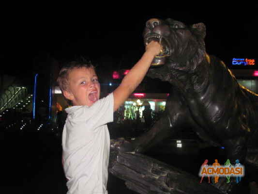 Илья Алексеевич Кайков фото №355891. Загружено 28 Февраля 2013