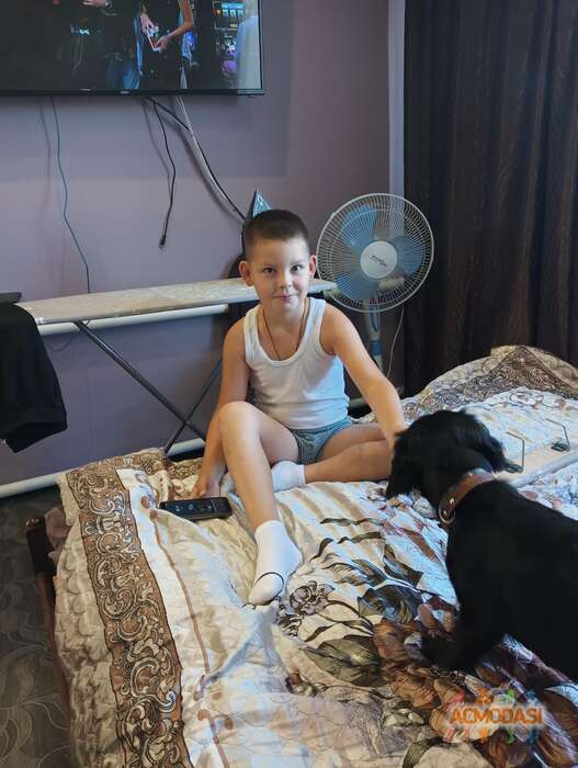 Сорокин  Артем фото №1839754. Загружено 27 Января 2023