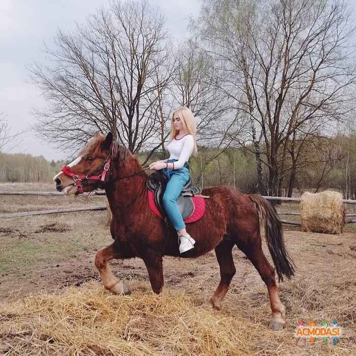 Кристина Андреевна Егорова фото №1524835. Загружено 12 Октября 2019