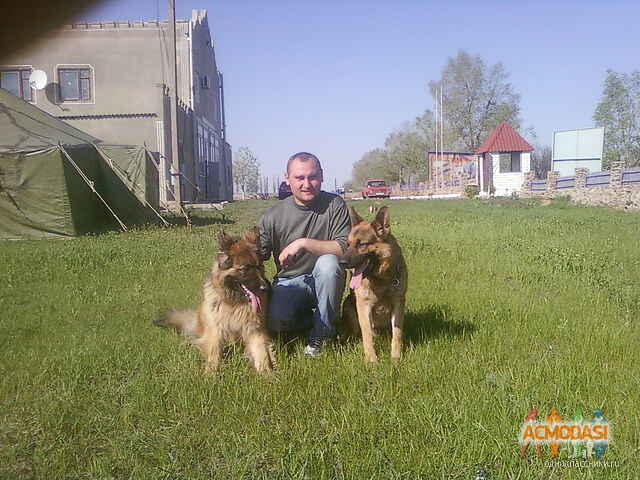 Юрий Викторович Волошин фото №502358. Загружено 02 Октября 2013