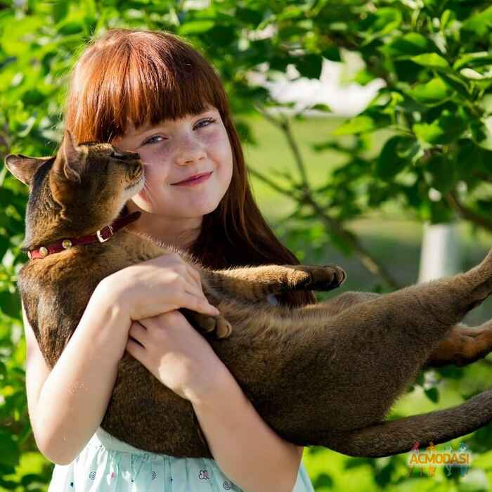 Татьяна  Федорова фото №1720273. Загружено 02 Июля 2021