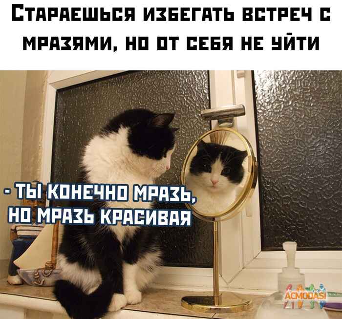 Н А С фото №1549047. Загружено 11 Декабря 2019