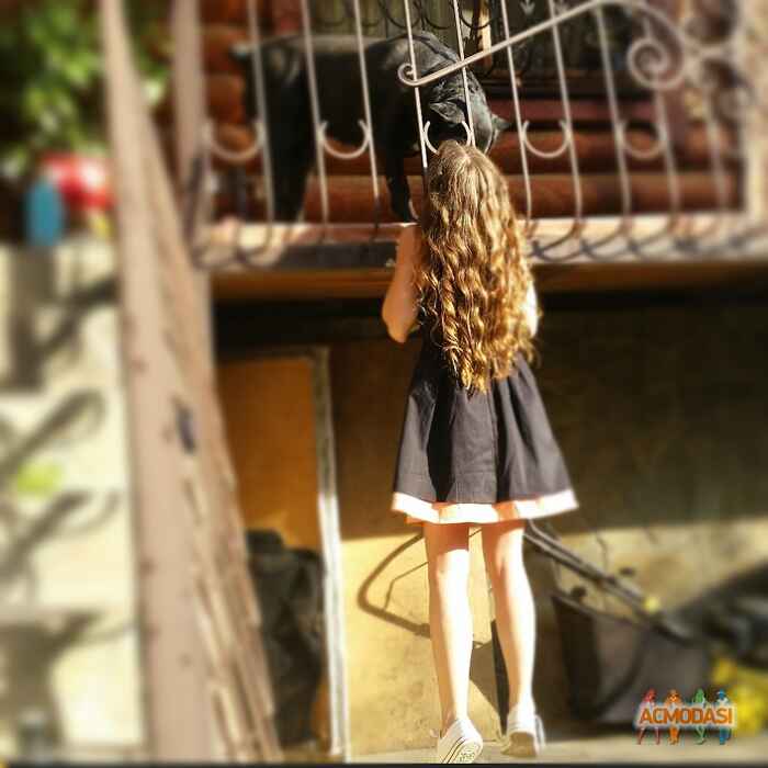 Софья  Михайловна фото №969861. Загружено 20 Декабря 2015