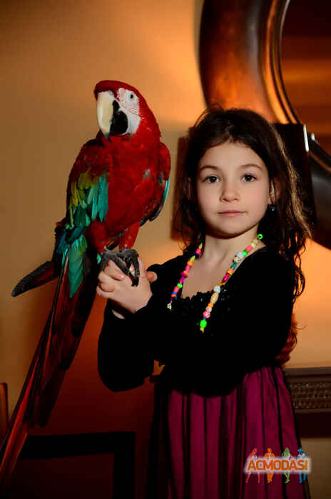 Светлана  Горская фото №1444028. Загружено 06 Апреля 2019