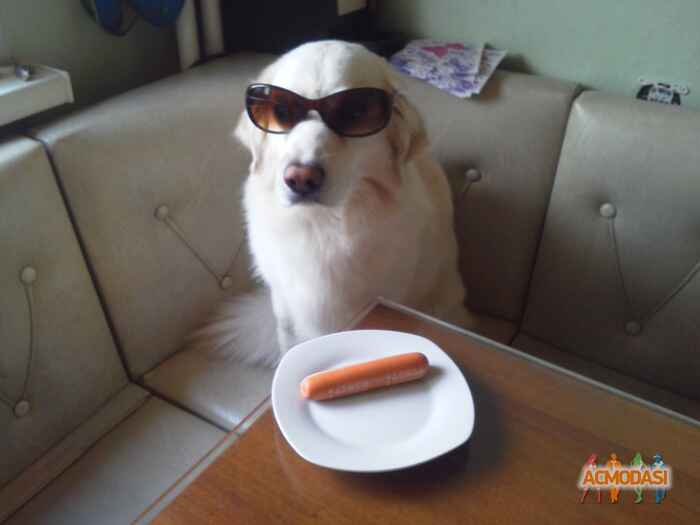 Саня   фото №893969. Загружено 27 Июля 2015