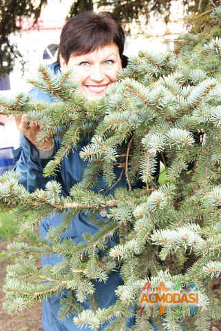 Нина  Телешевская фото №324841. Загружено 12 Января 2013