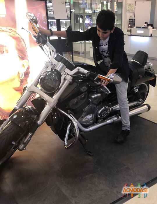 Али  Алиев фото №1560532. Загружено 17 Января 2020